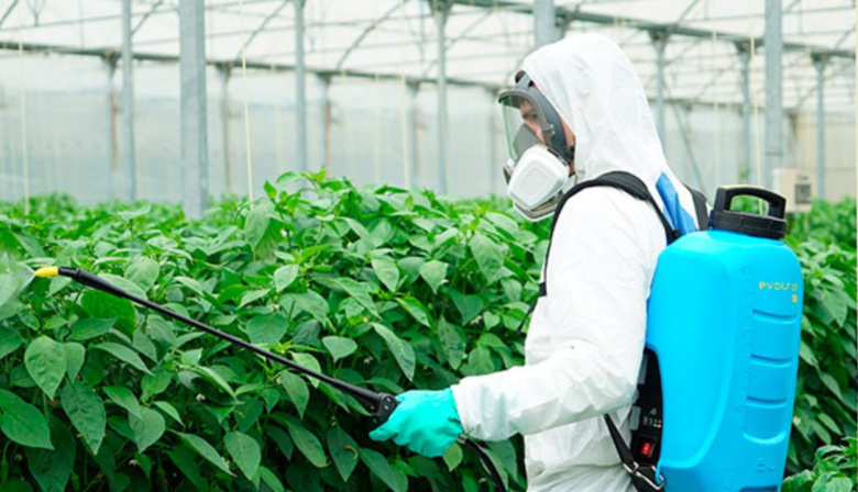 El Cabildo de La Gomera oferta nuevos cursos de manipulador de productos fitosanitarios de nivel básico