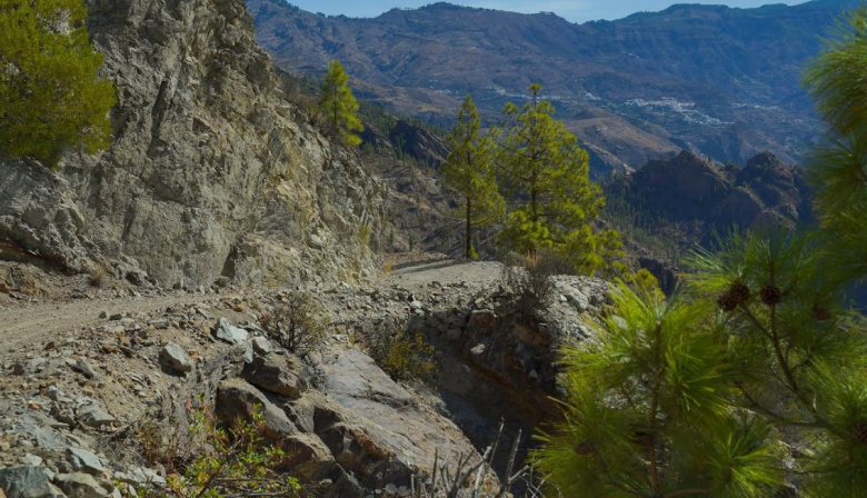 Gran Canaria culmina las obras de mejora de las pistas forestales de Guardaya y Los Moriscos