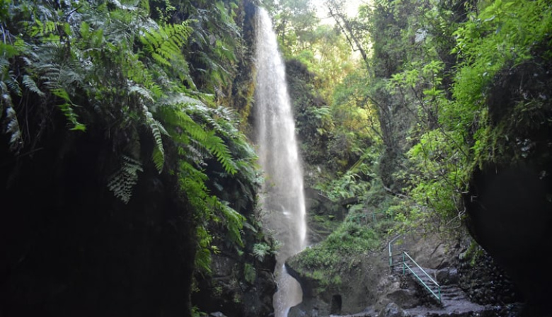 Transición Ecológica respalda la celebración del III Congreso de Reservas de la Biosfera Españolas en La Palma