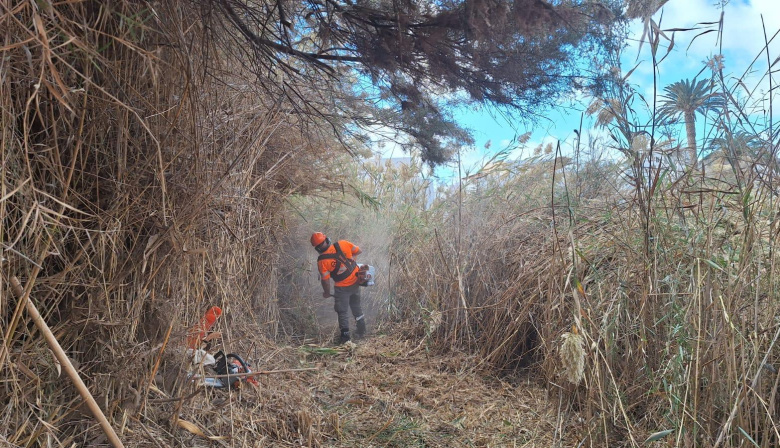 El Cabildo de Fuerteventura completa una intensa limpieza y desbroce de la carretera de entrada a Gran Tarajal y de la desembocadura del barranco
