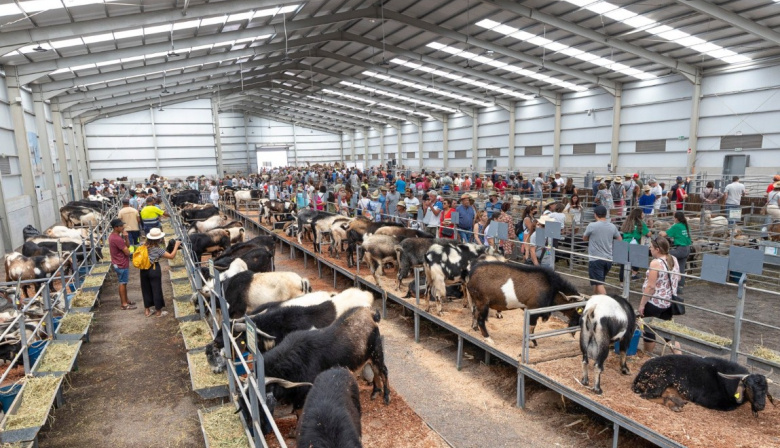 La Feria de Agricultura, Ganadería y Pesca de Fuerteventura (FEAGA) vuelve del 16 al 19 de abril