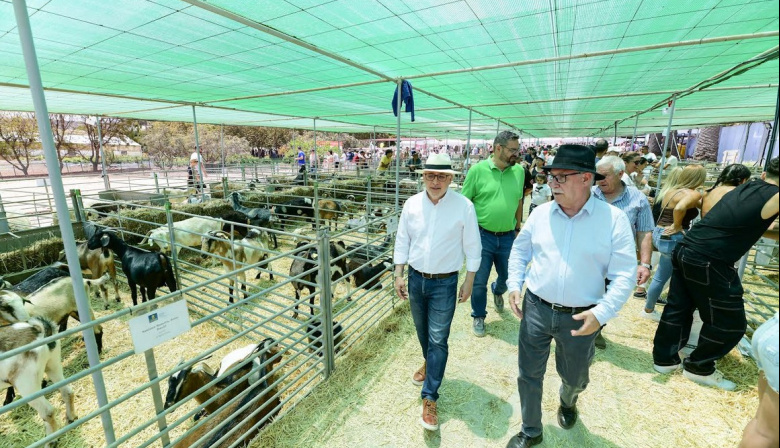 Sector Primario de Gran Canaria fomenta el asociacionismo de los ganaderos con una partida de 208.000 euros en ayudas a entidades en 2026