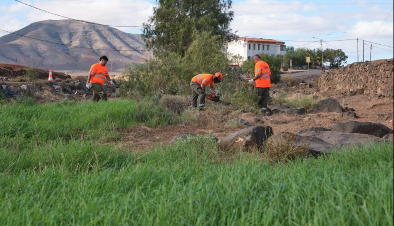 ‘Fuerteventura, bonita por naturaleza’ realiza labores de poda, limpieza y desbroce en la zona de Tesjuate