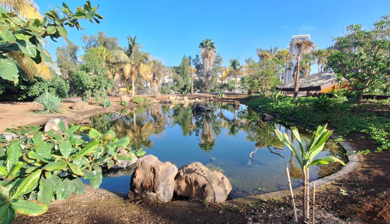 Santa Cruz refuerza el papel del Palmetum como refugio de biodiversidad