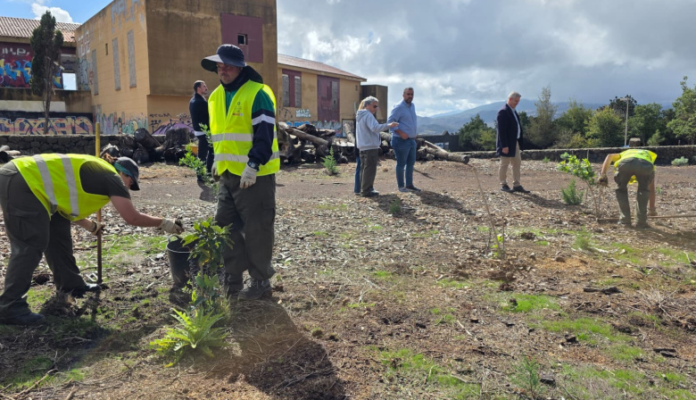 La Laguna culmina el Plan de Empleo Rural con actuaciones de recuperación ambiental en la Mesa Mota y San Roque