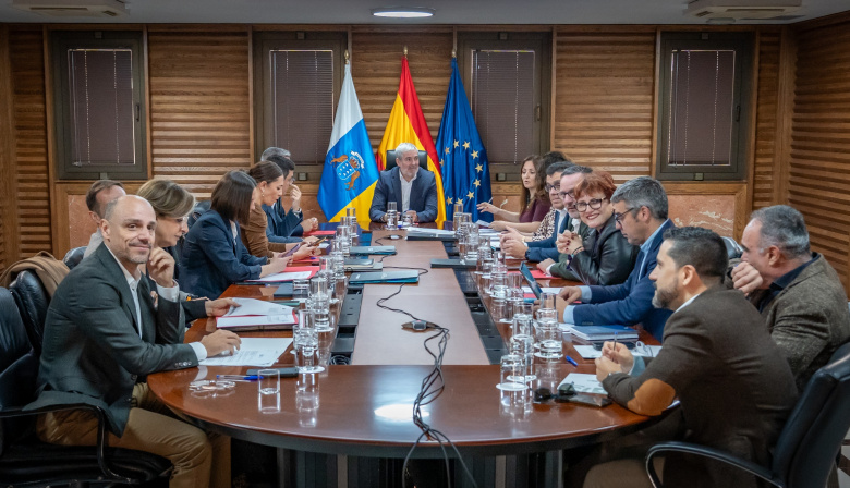El Gobierno de Canarias aprueba la estrategia que llevará al Parlamento para la defensa común del estatus RUP