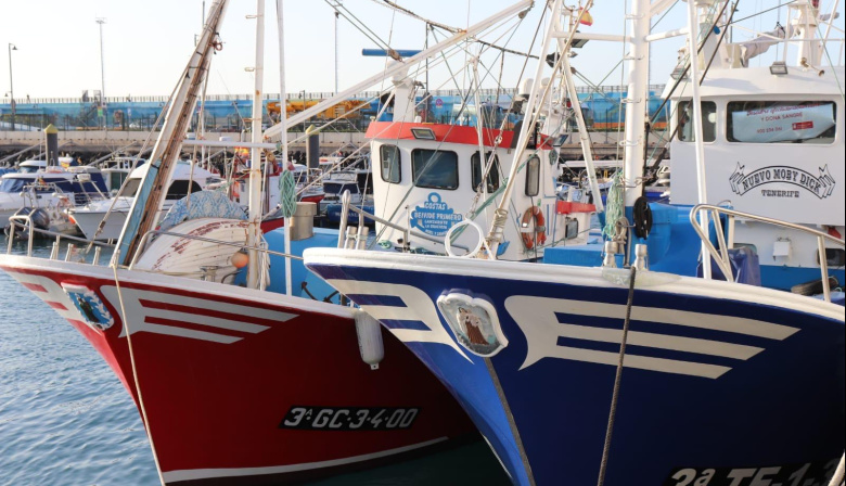 El Gobierno canario reclama protección para la flota artesanal en el nuevo régimen pesquero de la UE