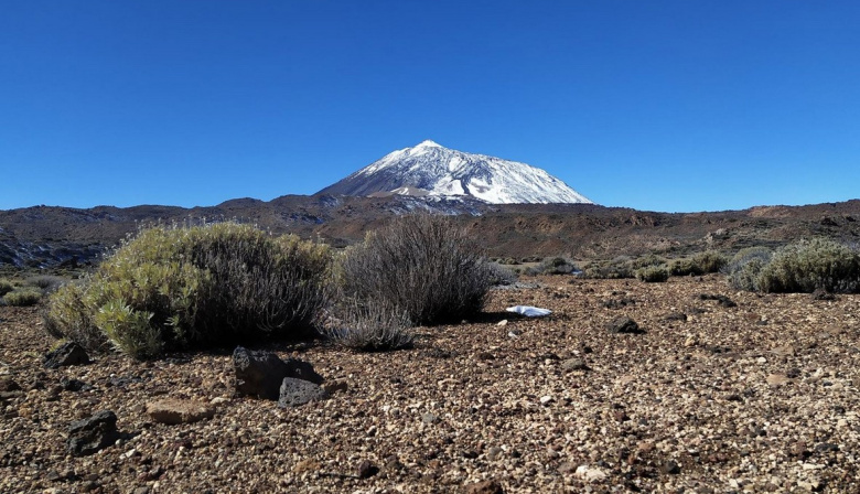 El Cabildo de Tenerife se da un plazo de un año para regular la movilidad en el Parque Nacional del Teide