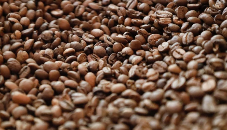 Agaete convoca una jornada técnica informativa agrícola centrada en el sector del café