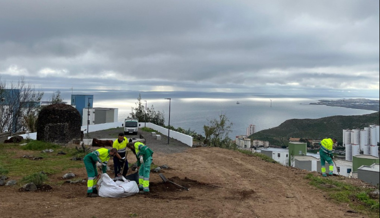 Parques y Jardines de Las Palmas de Gran Canaria renaturaliza el mirador de El Lasso