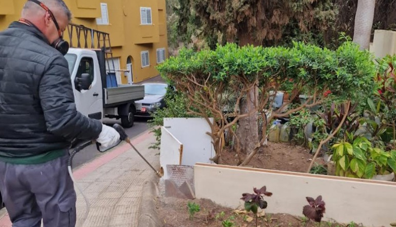 El Ayuntamiento de Las Palmas de Gran Canaria realiza 247 intervenciones de desinsectación y desratización en enero en los cinco distritos de la ciudad