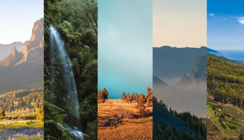 La Palma gana el premio a Mejor Localización Europea 2026 en el European Film Market – Berlinale 2026