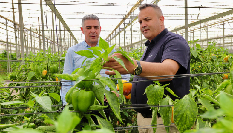 Narvay Quintero destaca la importancia de la modernización en el sector hortofrutícola en su visita a Finca Río Sur