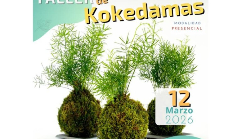 Arucas abre las preinscripciones para el taller de Kokedamas