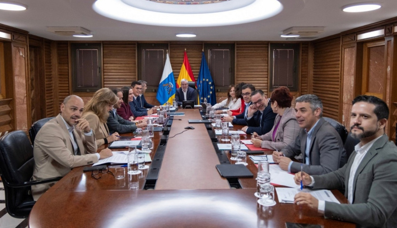 Canarias aprueba un protocolo que coordinará el uso de drones durante las emergencias