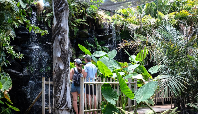 El Palmetum, premiado con el galardón de “Amigos del Botánico” 2026 de Madrid