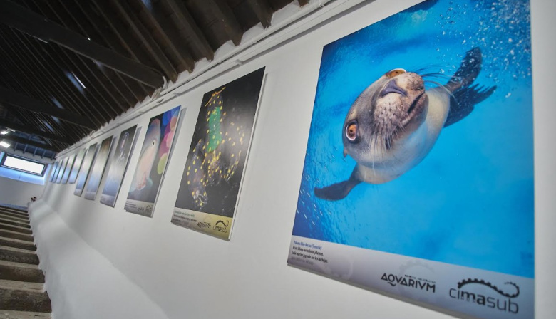 CIMASUB celebra su tercera edición en Tenerife para concienciar sobre la protección de los océanos