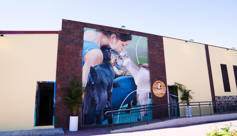 El Centro de Interpretación del Queso y el Pastoreo de La Gomera se consolida como referente con más de un millar de visitantes