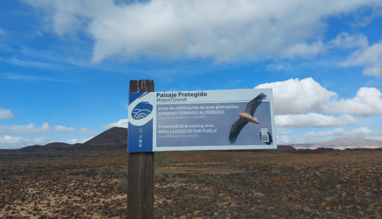 El Cabildo de Fuerteventura cierra temporalmente determinados tramos de senderos como medida clave para proteger las aves en época de cría