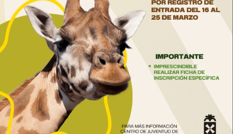 Antigua impulsa los talleres creativos y excursiones entre los jóvenes