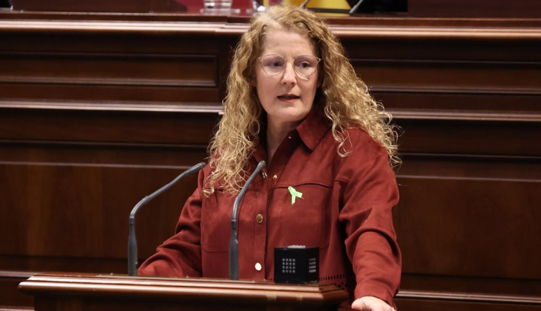 El PP lleva al Parlamento ampliar los plazos de ejecución de los fondos Next Generation para la energía sostenible en Canaria