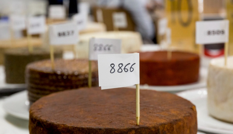 Cinco quesos canarios aspiran a convertirse en el mejor de España según el jurado de Gourmets 2026