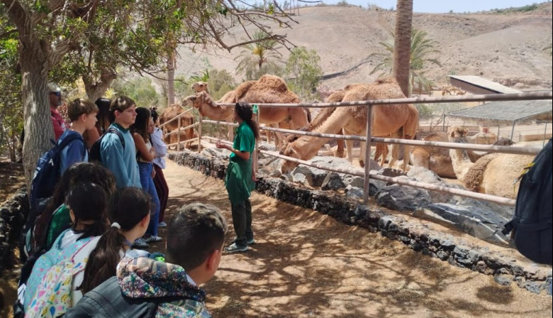 Antigua impulsa las excursiones y actividades gratuitas para jóvenes del Municipio
