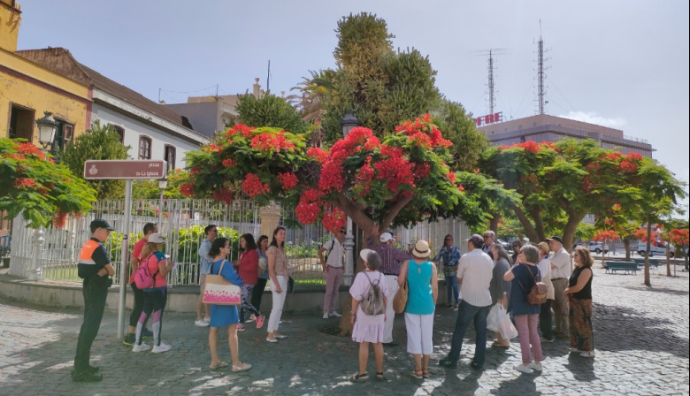 Santa Cruz organiza una nueva edición de rutas guiadas para conocer sus árboles singulares