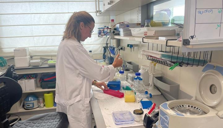 El mercado laboral supera en marzo la barrera de los 22 millones de afiliados a la Seguridad Social en términos desestacionalizados