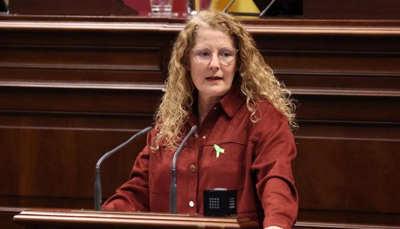 El PP lleva al Parlamento ampliar los plazos de ejecución de los fondos Next Generation para la energía sostenible en Canarias