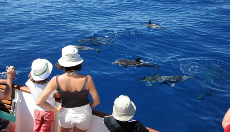 La Gomera cierra una temporada de invierno histórica con más gasto turístico y el 95% de ocupación