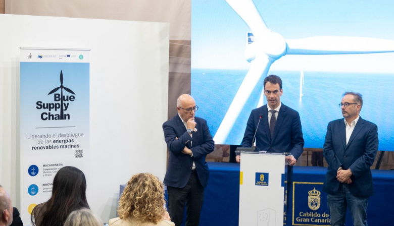 El Cabildo de Gran Canaria reclama al Estado la convocatoria urgente de la primera subasta de eólica marina y propone un proyecto piloto en la isla