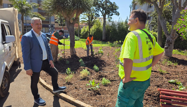La Laguna revitaliza el parque de Los Dragos con nuevas especies canarias y mejora del suelo