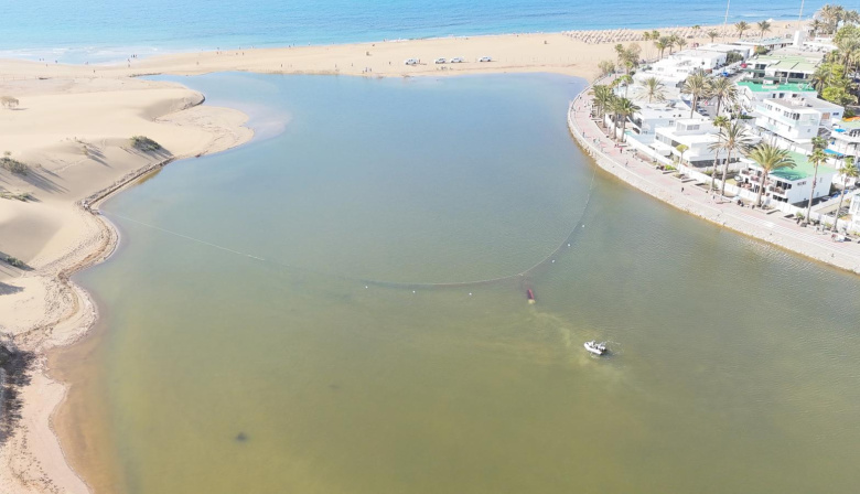 El Cabildo de Gran Canaria prueba la técnica del chinchorro en la Charca de Maspalomas para estudiar el ecosistema y controlar especies invasoras