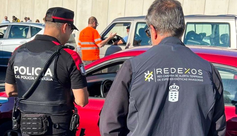 La Policía Autonómica colabora para frenar la expansión de la culebra real de California en Gran Canaria