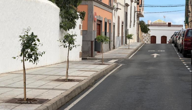 Parques y Jardines de Telde recupera los históricos naranjos del casco de San Juan