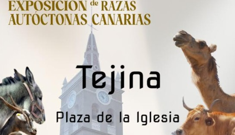 Tejina ofrece este domingo una amplia muestra de razas autóctonas canarias