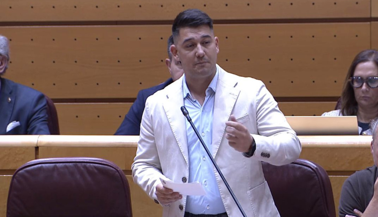 Fabián Chinea (ASG) pide en la Comisión Mixta de Insularidad la participación real de las instituciones canarias en la gestión de aeropuertos
