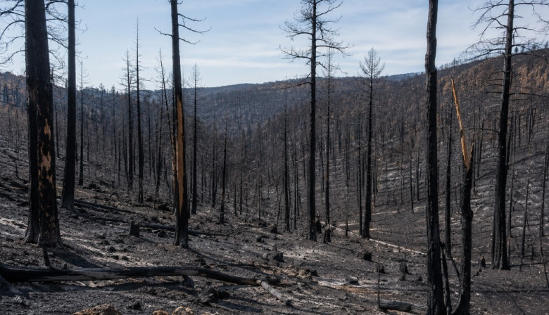 El Gobierno de España adelanta al 1 de junio el comienzo de la campaña estatal contra los incendios forestales