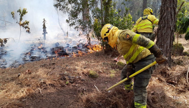 Canarias activa este lunes la campaña contra incendios forestales de 2026: Más de 2.600 efectivos y 19 medios aéreos