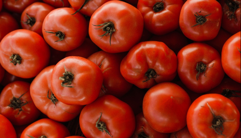 Los tomates, el producto agrícola que más ha subido su precio en origen durante el último año en Canarias