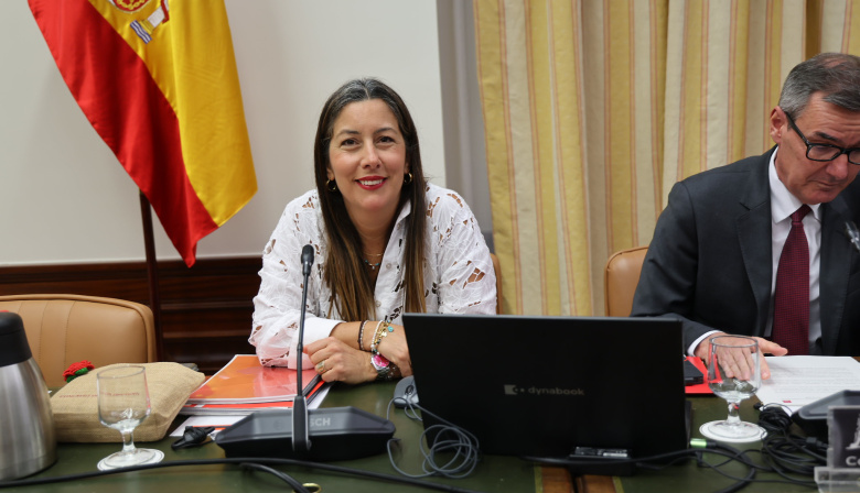 El PSOE pide que la financiación récord de Canarias llegue a la vivienda y los servicios públicos