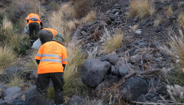 El Cabildo de La Gomera supera los dos millones de inversión en actuaciones para el control de especies exóticas