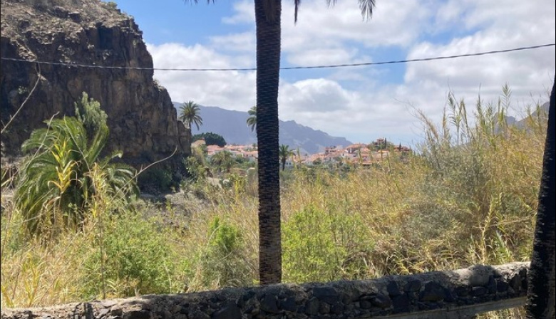 Canarias activa la situación de alerta por riesgo de incendio forestal en Gran Canaria