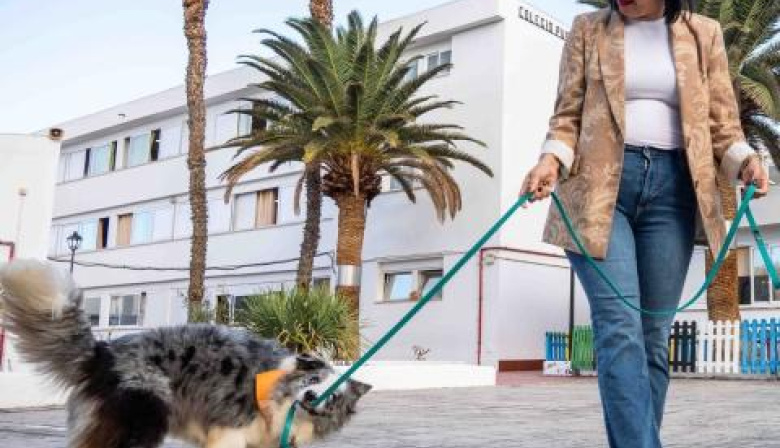 Los perros animarán a la lectura a menores de entre 6 y 12 años en una novedosa propuesta veraniega de Cultura Arrecife