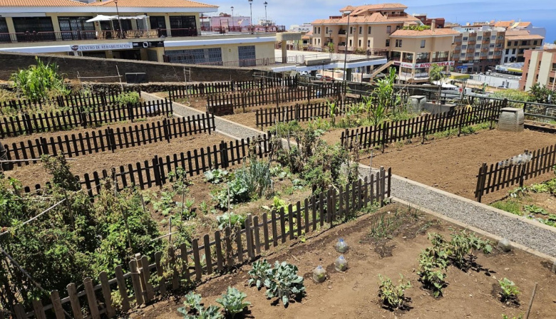 La Orotava abre el plazo para solicitar un huerto ecológico urbano municipal