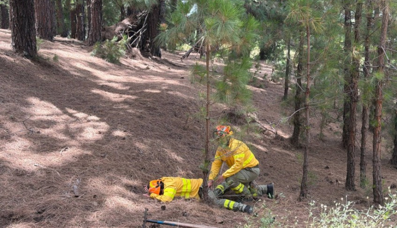 La ESSSCAN forma a bomberos forestales de La Palma en atención a personas víctimas de emergencias