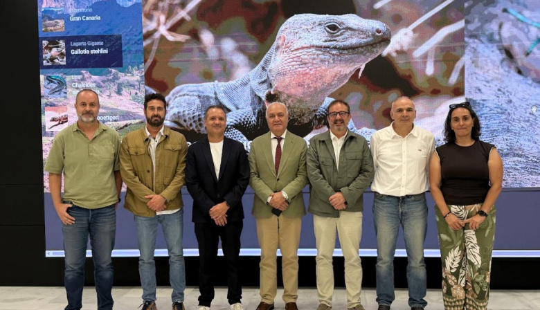 Gran Canaria lidera un proyecto europeo para la protección de reptiles endémicos frente a especies invasoras
