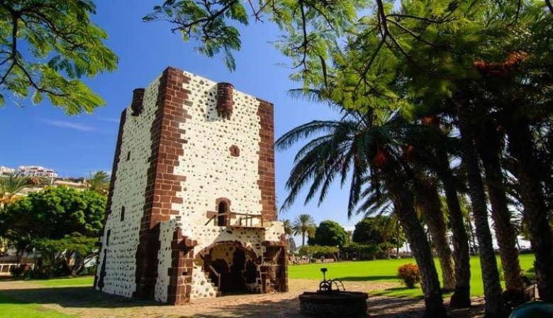 La Gomera acogerá las III Jornadas Técnicas Internacionales de Vitivinicultura Sostenible