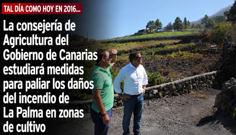 Sucedió tal día como hoy en 2016: La consejería de Agricultura del Gobierno de Canarias estudiará medidas para paliar los daños del incendio de La Palma en zonas de cultivo